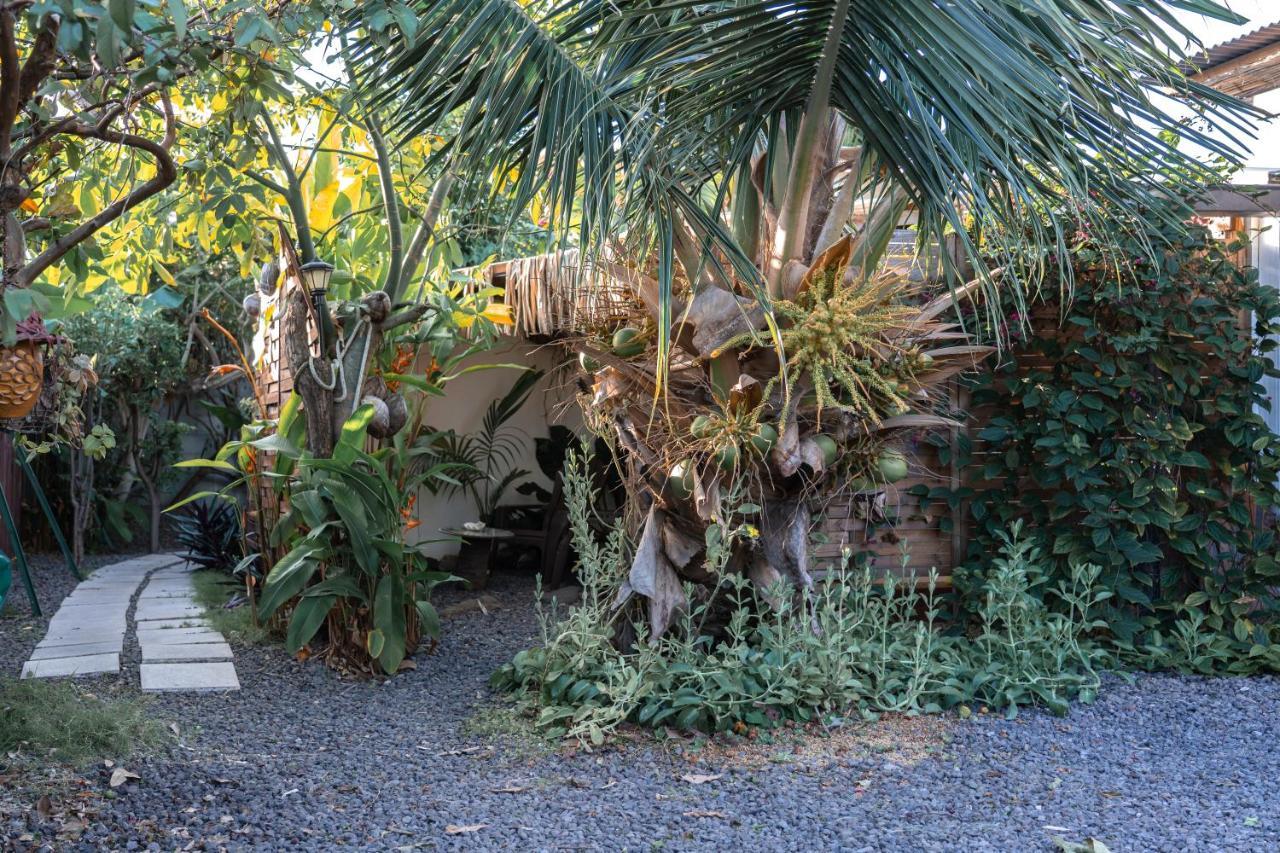 Douceur Tropicale Proximite Plage Et Commerces Punaauia  Exterior photo
